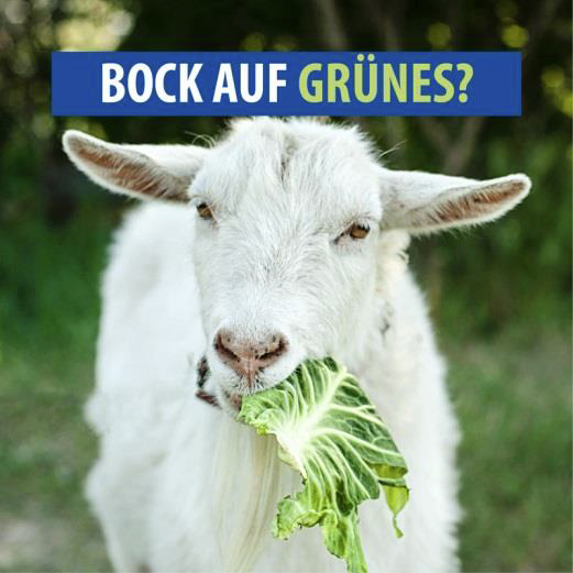 Bock auf Gr&uuml;nes?
